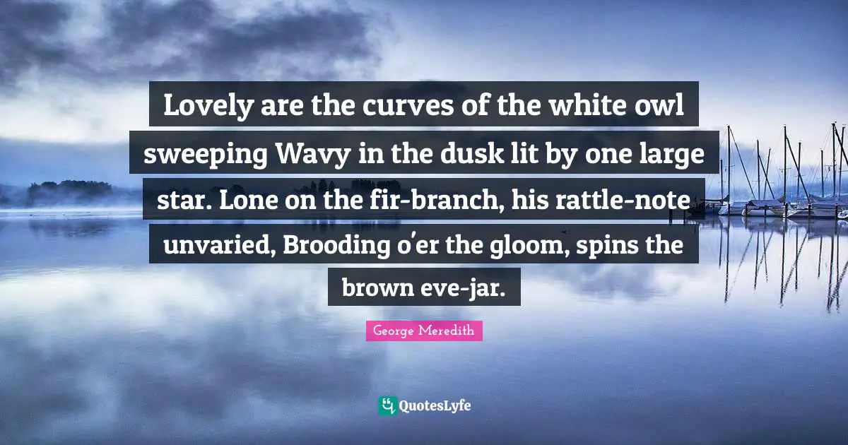 Lovely are the curves of the white owl sweeping Wavy in the dusk lit by one large star. Lone on the fir-branch, his rattle-note unvaried, Brooding o'er the gloom, spins the brown eve-jar.