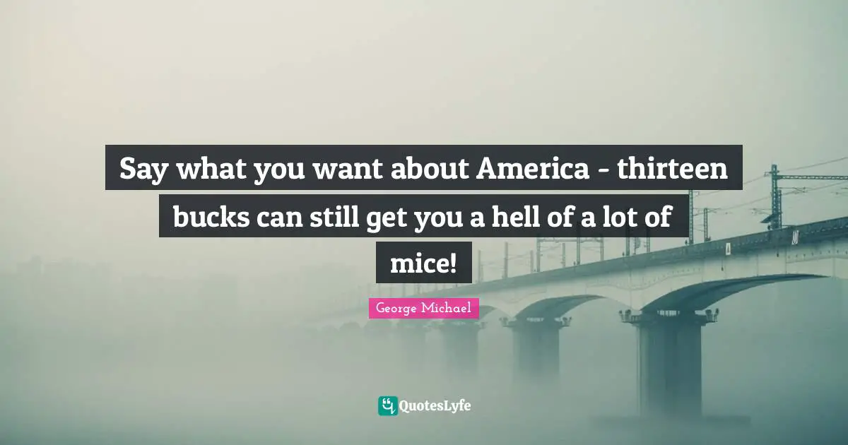 Say what you want about America - thirteen bucks can still get you a hell of a lot of mice!