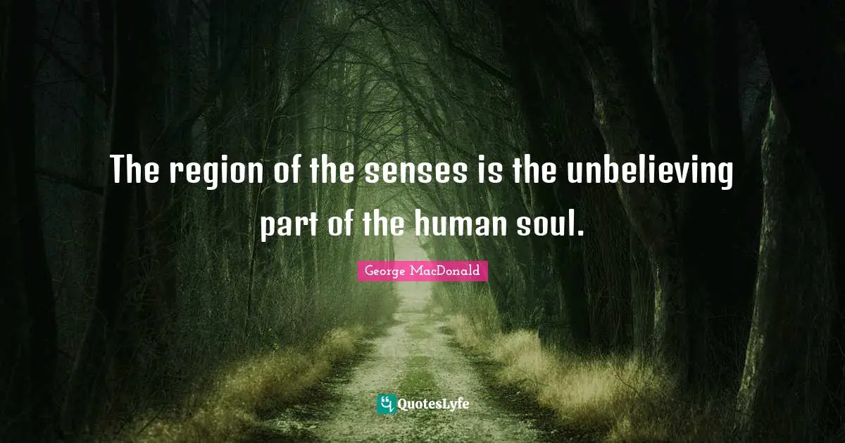 The region of the senses is the unbelieving part of the human soul.