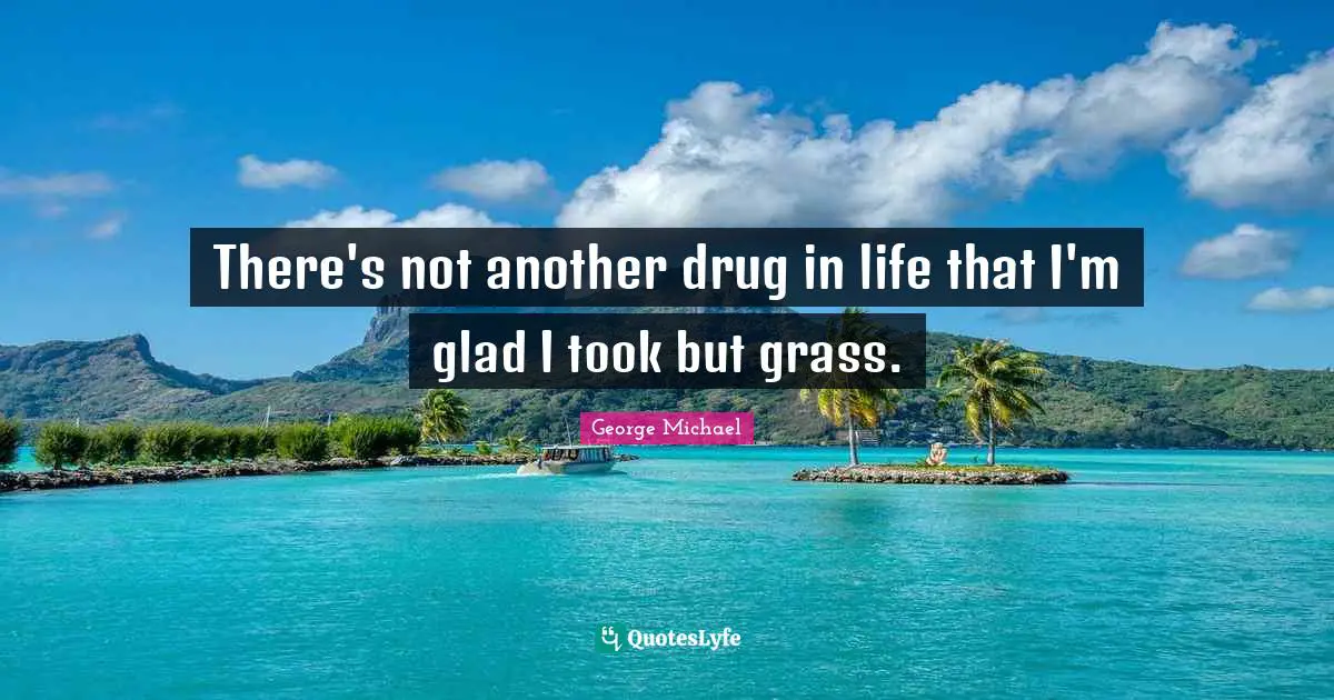 There's not another drug in life that I'm glad I took but grass.