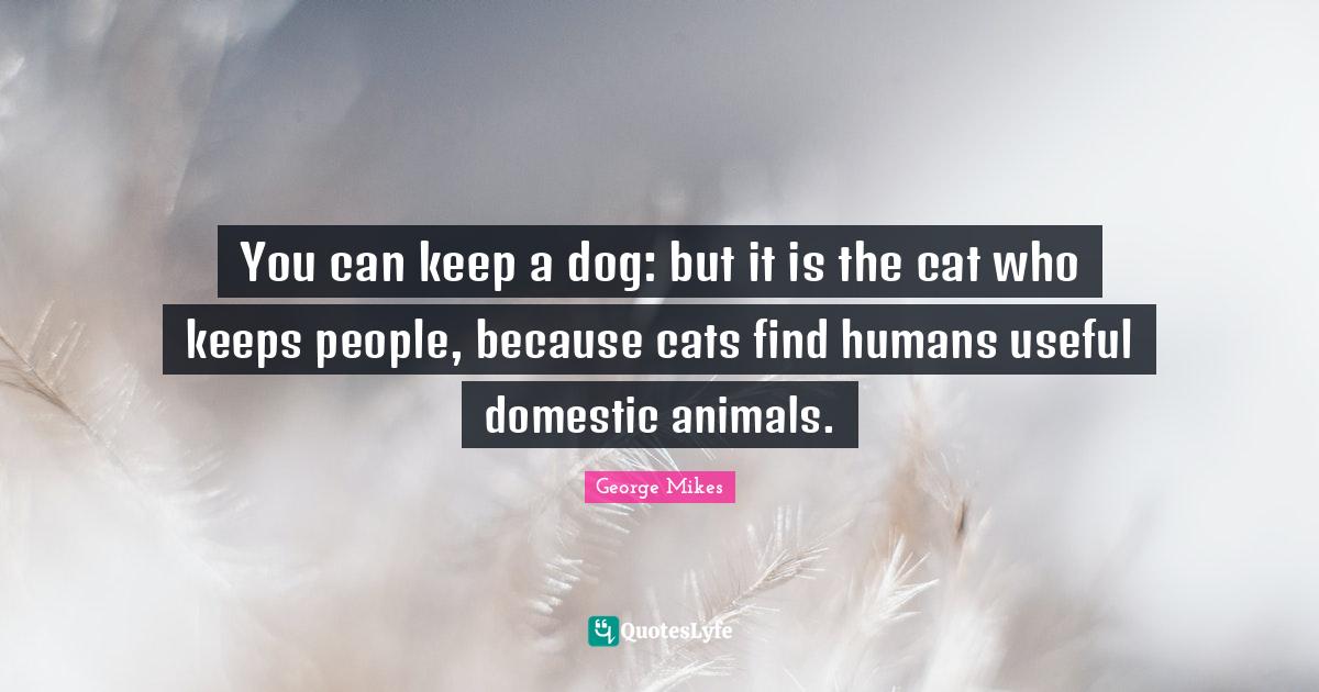 You can keep a dog but it is the cat who keeps people, because cats f