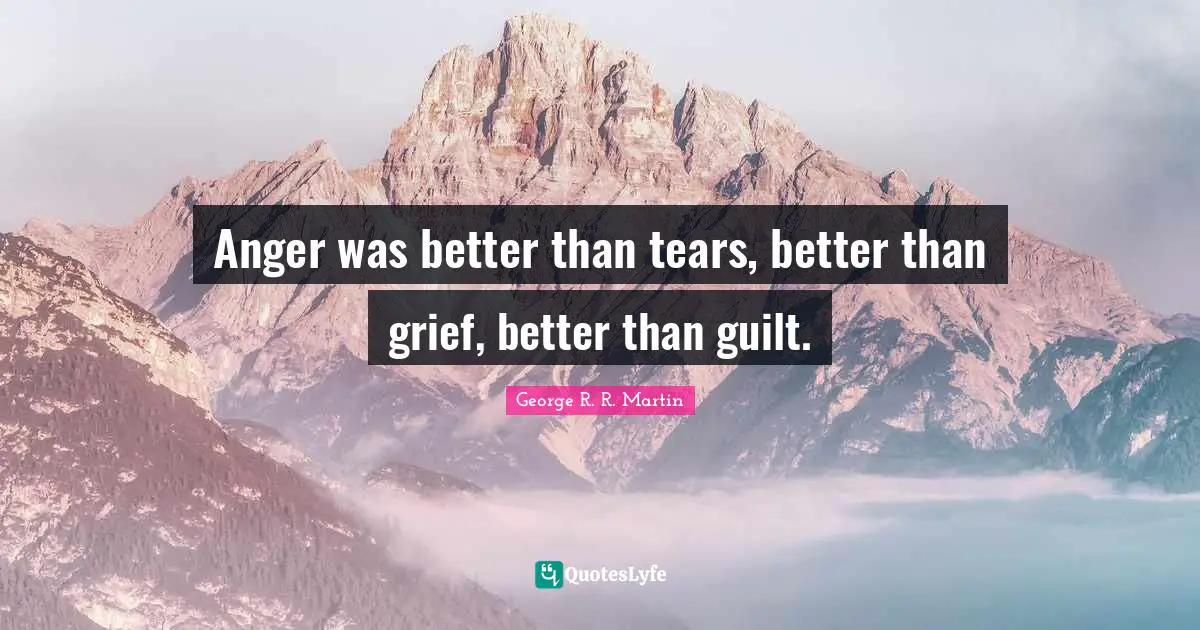 Anger was better than tears, better than grief, better than guilt.