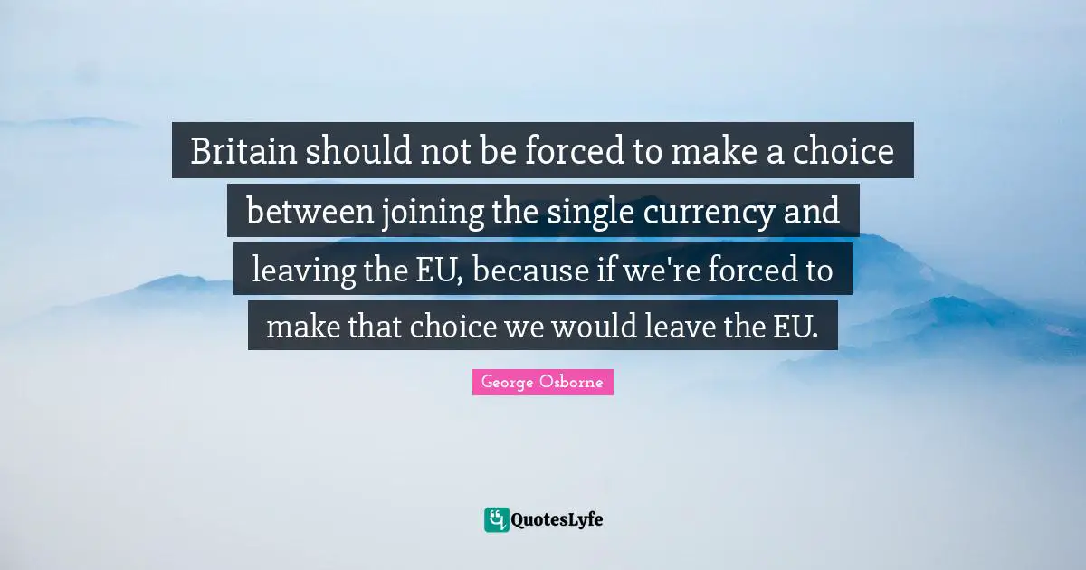 Britain should not be forced to make a choice between joining the single currency and leaving the EU, because if we're forced to make that choice we would leave the EU.