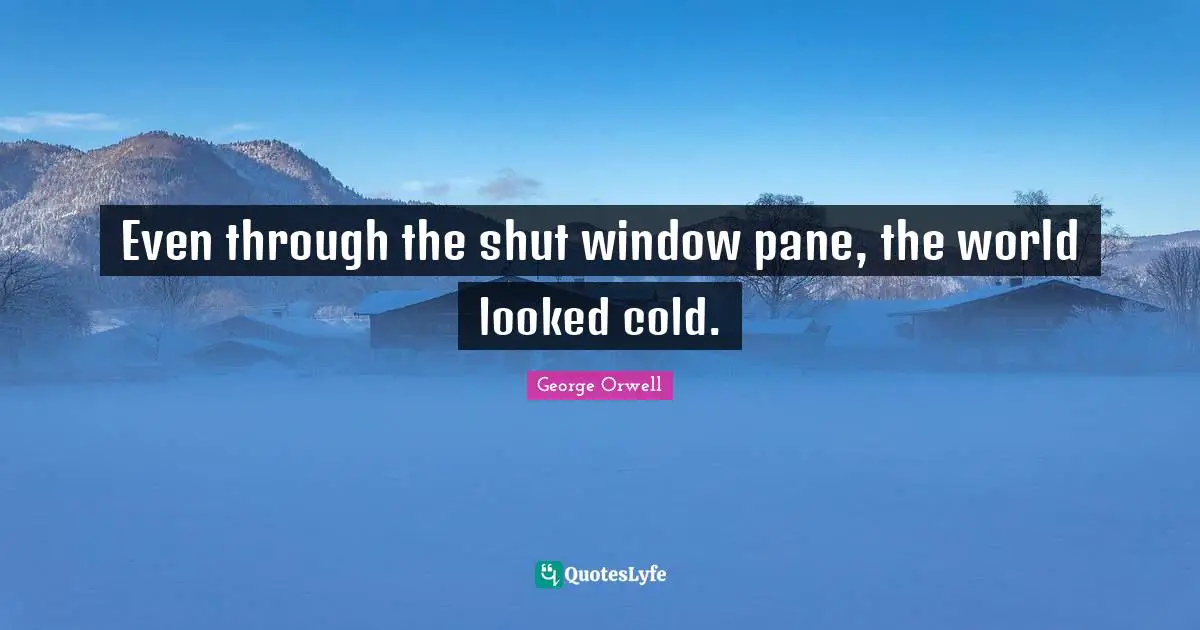 Even through the shut window pane, the world looked cold.