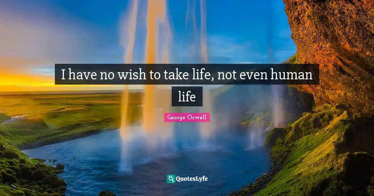 I have no wish to take life, not even human life
