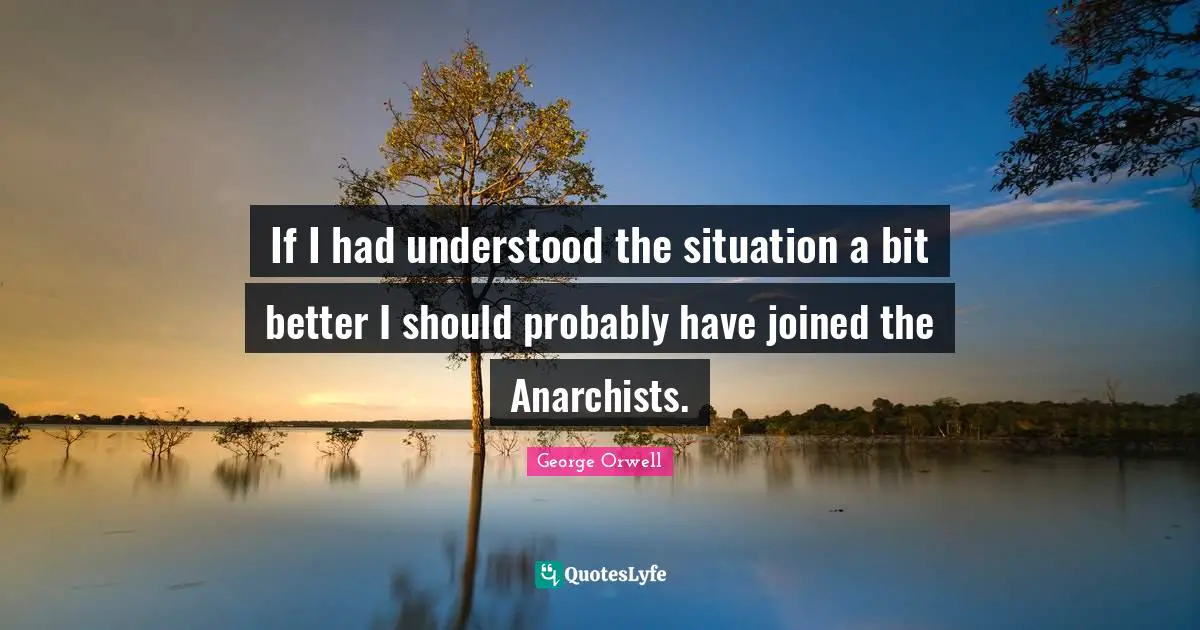 If I had understood the situation a bit better I should probably have joined the Anarchists.