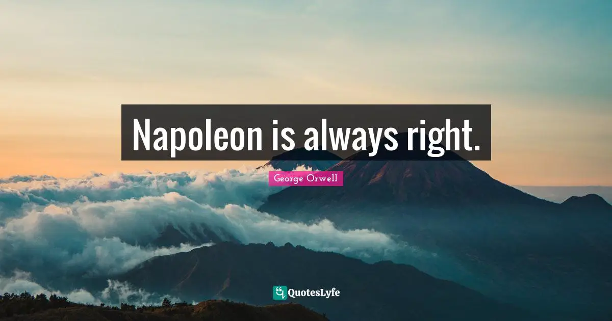Napoleon is always right.