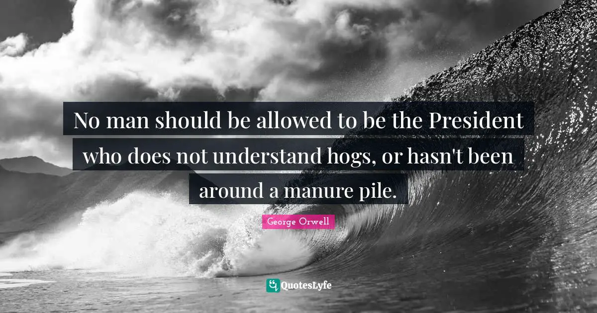 No man should be allowed to be the President who does not understand hogs, or hasn't been around a manure pile.