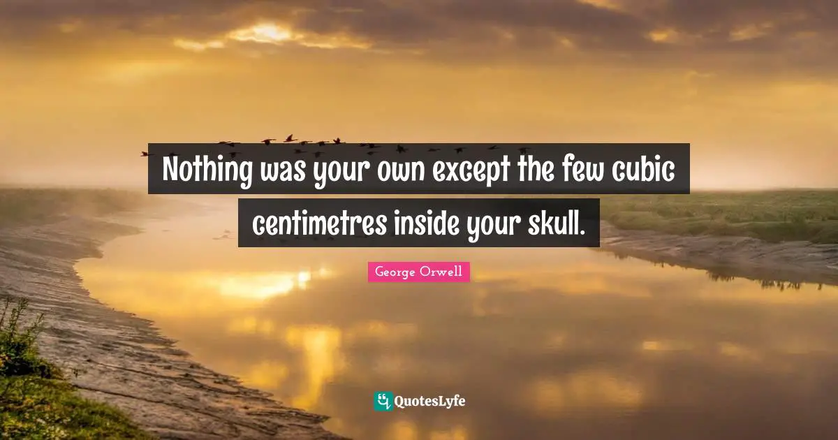 Skulls Quotes: "Nothing was your own except the few cubic centimetres inside your skull."