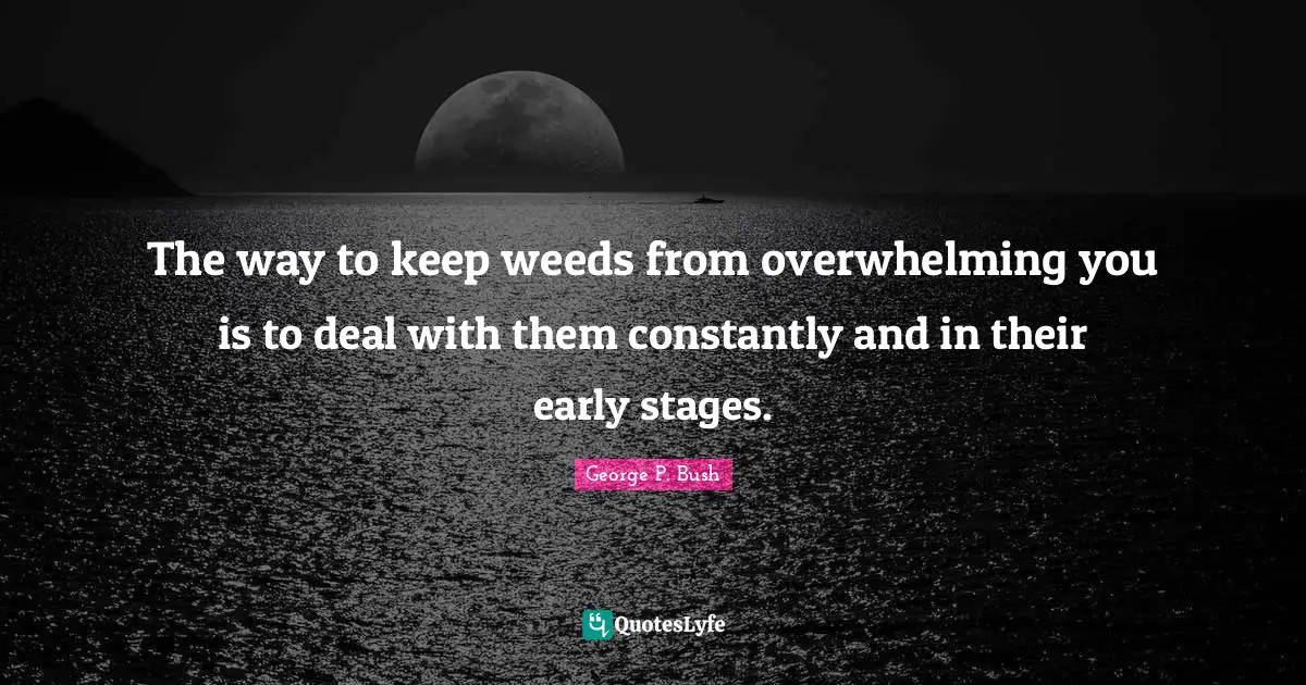 The way to keep weeds from overwhelming you is to deal with them constantly and in their early stages.