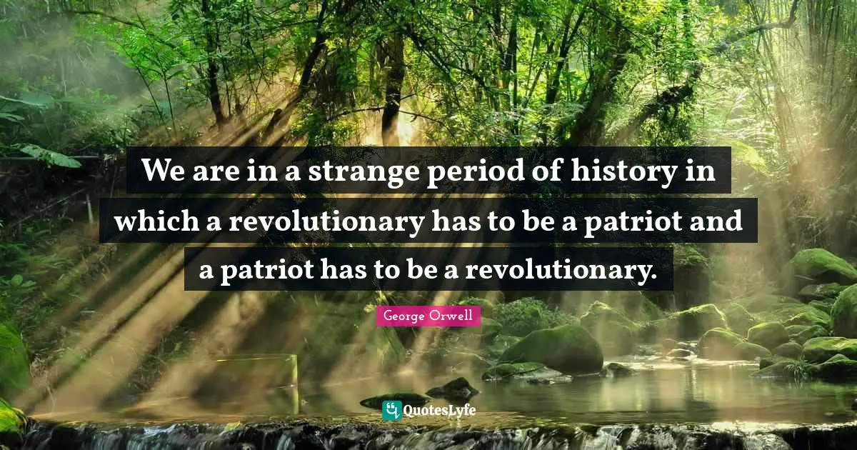 We are in a strange period of history in which a revolutionary has to be a patriot and a patriot has to be a revolutionary.