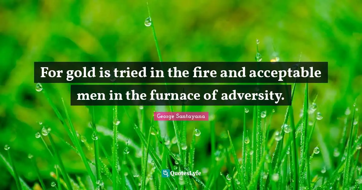 For gold is tried in the fire and acceptable men in the furnace of adversity.