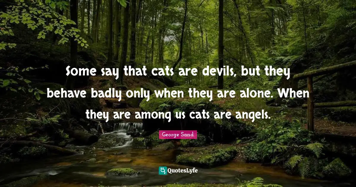 Some say that cats are devils, but they behave badly only when they are alone. When they are among us cats are angels.