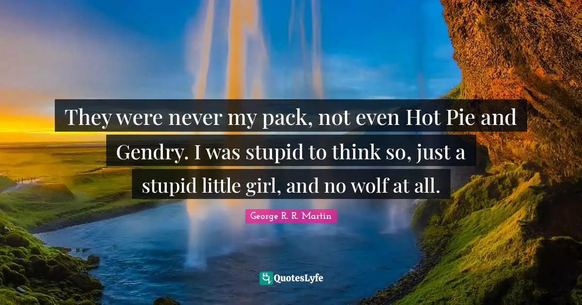 They were never my pack, not even Hot Pie and Gendry. I was stupid to think so, just a stupid little girl, and no wolf at all.