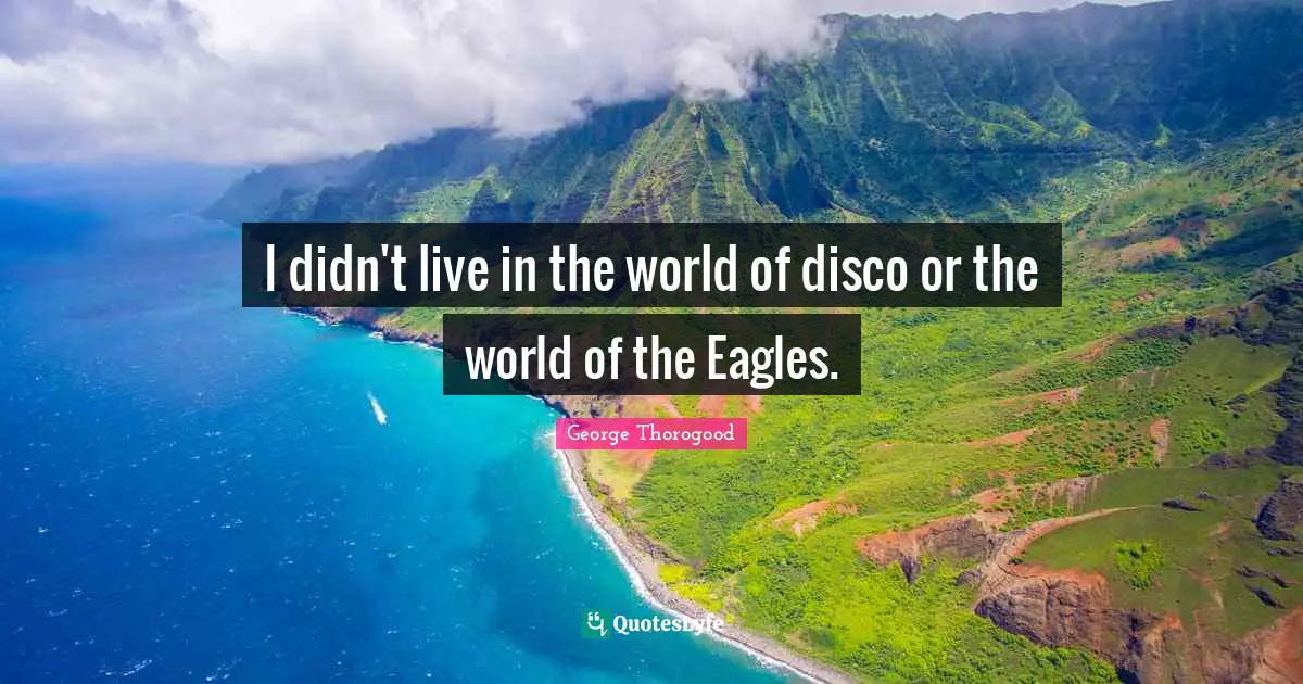 I didn't live in the world of disco or the world of the Eagles.