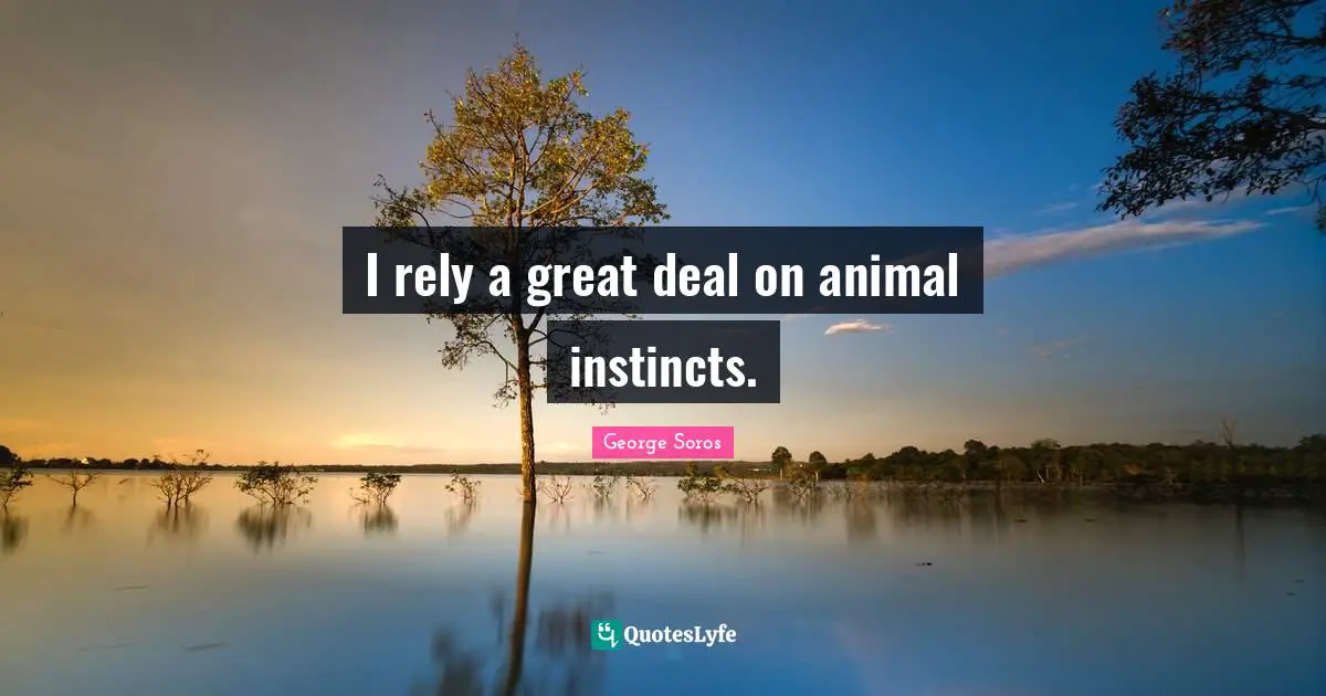 I rely a great deal on animal instincts.
