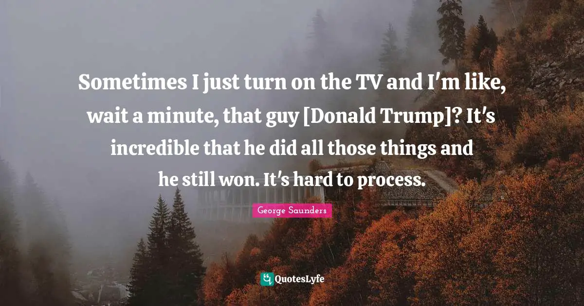 Sometimes I just turn on the TV and I'm like, wait a minute, that guy [Donald Trump]? It's incredible that he did all those things and he still won. It's hard to process.