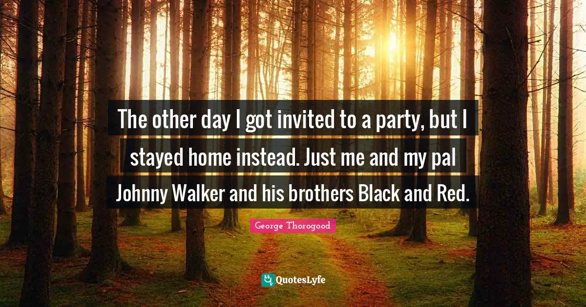 The other day I got invited to a party, but I stayed home instead. Just me and my pal Johnny Walker and his brothers Black and Red.