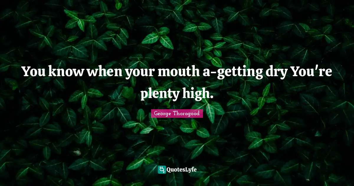 You know when your mouth a-getting dry You're plenty high.