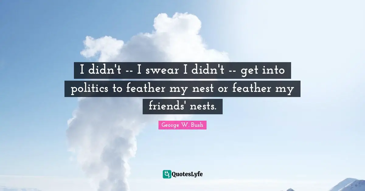I didn't -- I swear I didn't -- get into politics to feather my nest or feather my friends' nests.