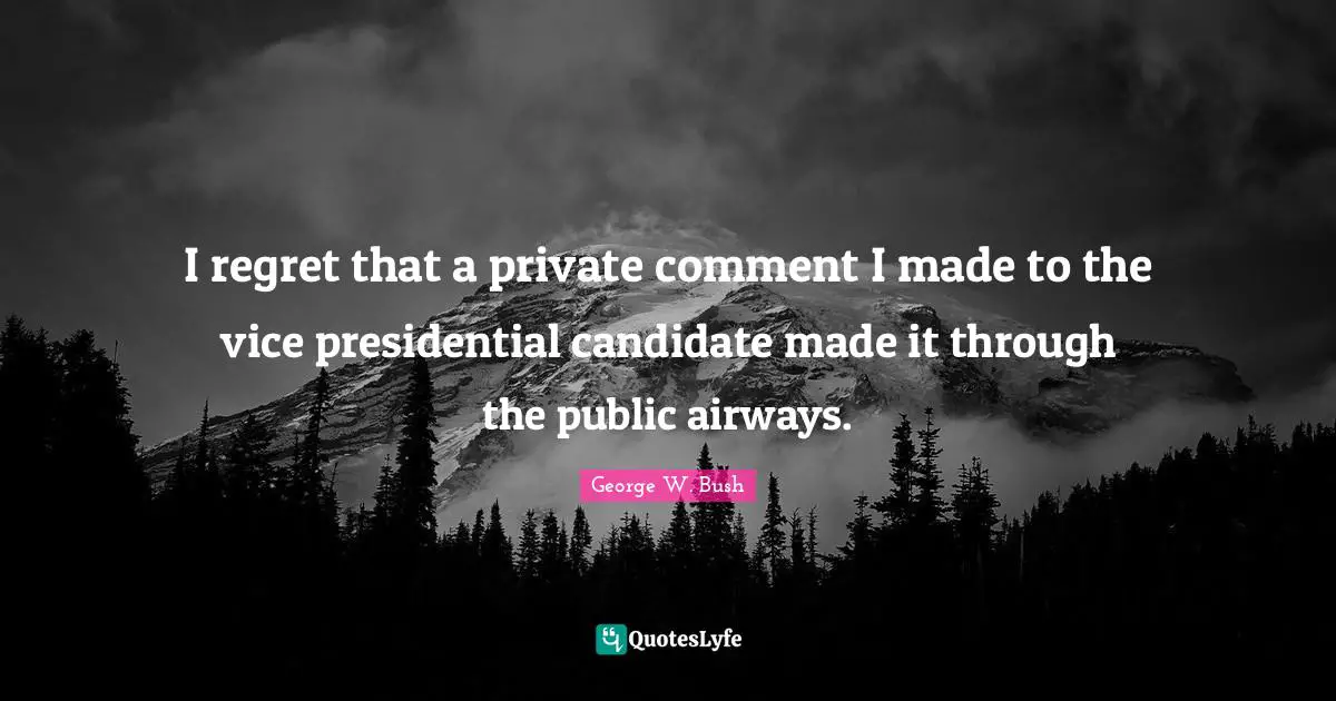 I regret that a private comment I made to the vice presidential candidate made it through the public airways.