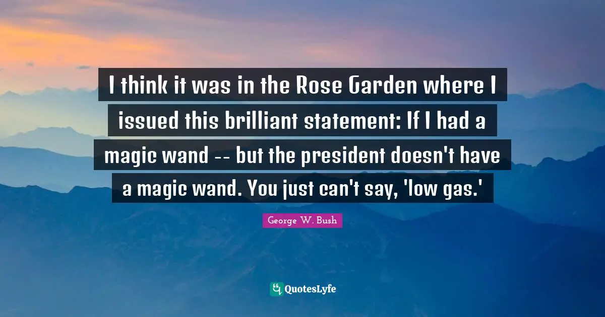 I think it was in the Rose Garden where I issued this brilliant statement: If I had a magic wand -- but the president doesn't have a magic wand. You just can't say, 'low gas.'