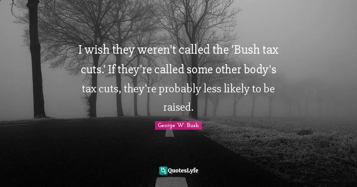 I wish they weren't called the 'Bush tax cuts.' If they're called some other body's tax cuts, they're probably less likely to be raised.
