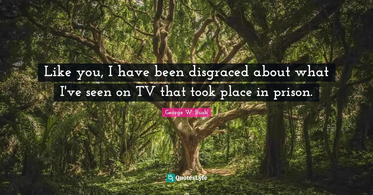Like you, I have been disgraced about what I've seen on TV that took place in prison.