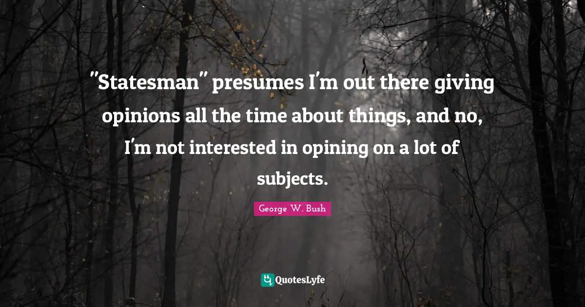 "Statesman" presumes I'm out there giving opinions all the time about things, and no, I'm not interested in opining on a lot of subjects.