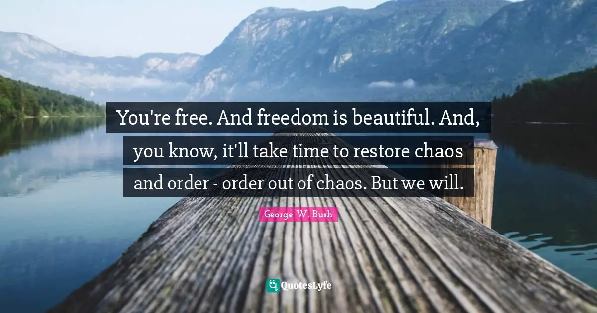 You're free. And freedom is beautiful. And, you know, it'll take time to restore chaos and order - order out of chaos. But we will.