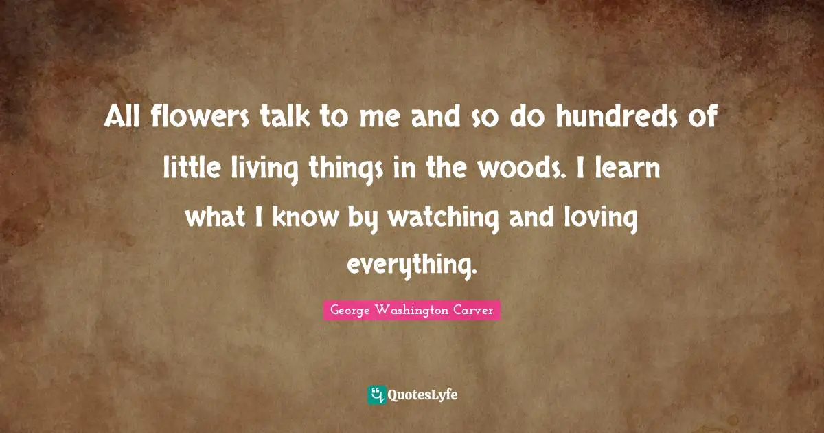 George Washington Carver Quotes: "All flowers talk to me and so do hundreds of little living things in the woods. I learn what I know by watching and loving everything."