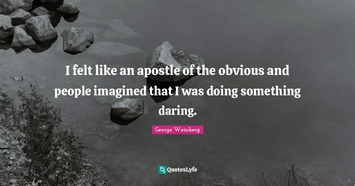 I felt like an apostle of the obvious and people imagined that I was doing something daring.