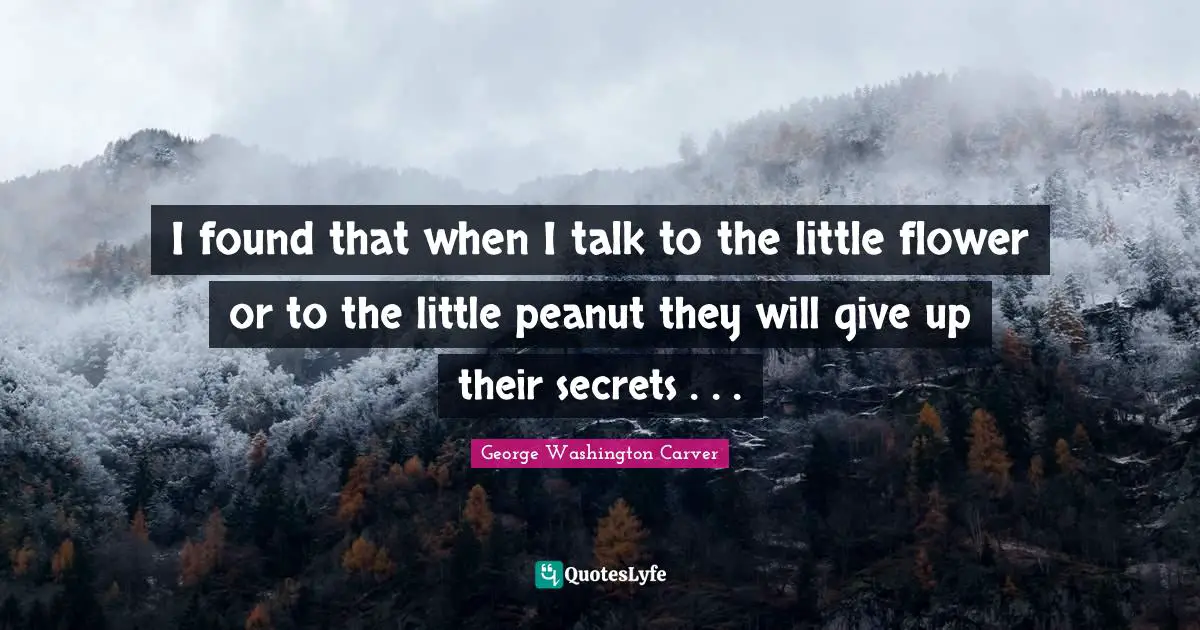 George Washington Carver Quotes: "I found that when I talk to the little flower or to the little peanut they will give up their secrets . . ."