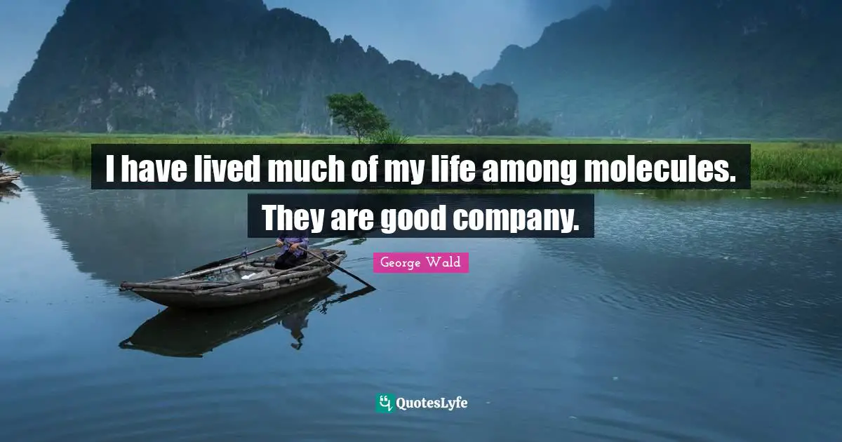 I have lived much of my life among molecules. They are good company.