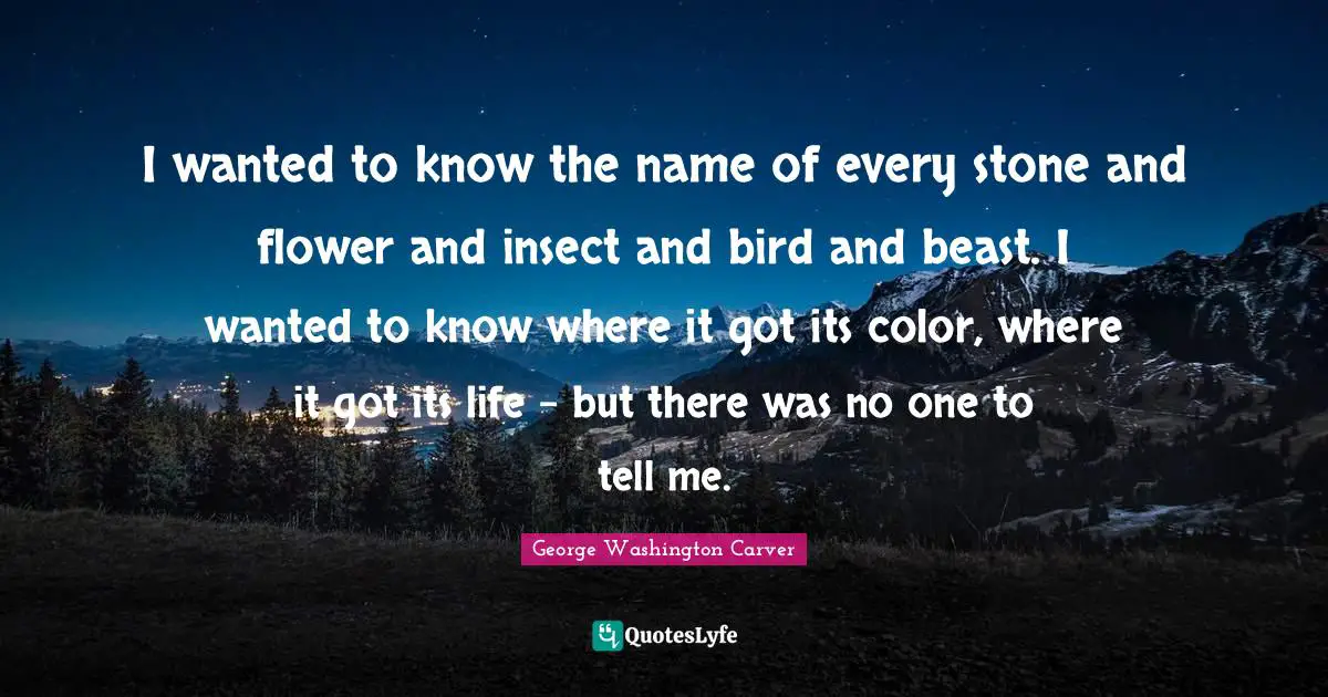 George Washington Carver Quotes: I wanted to know the name of every stone and flower and insect and bird and beast. I wanted to know where it got its color, where it got its life - but there was no one to tell me.
