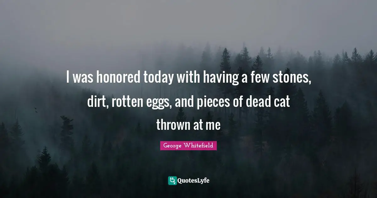 George Whitefield Quotes: I was honored today with having a few stones, dirt, rotten eggs, and pieces of dead cat thrown at me