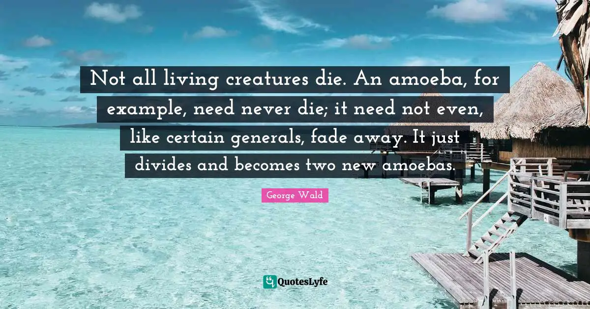 Not all living creatures die. An amoeba, for example, need never die; it need not even, like certain generals, fade away. It just divides and becomes two new amoebas.