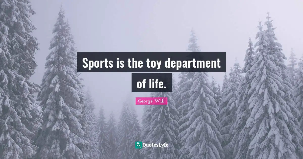 Sports is the toy department of life.