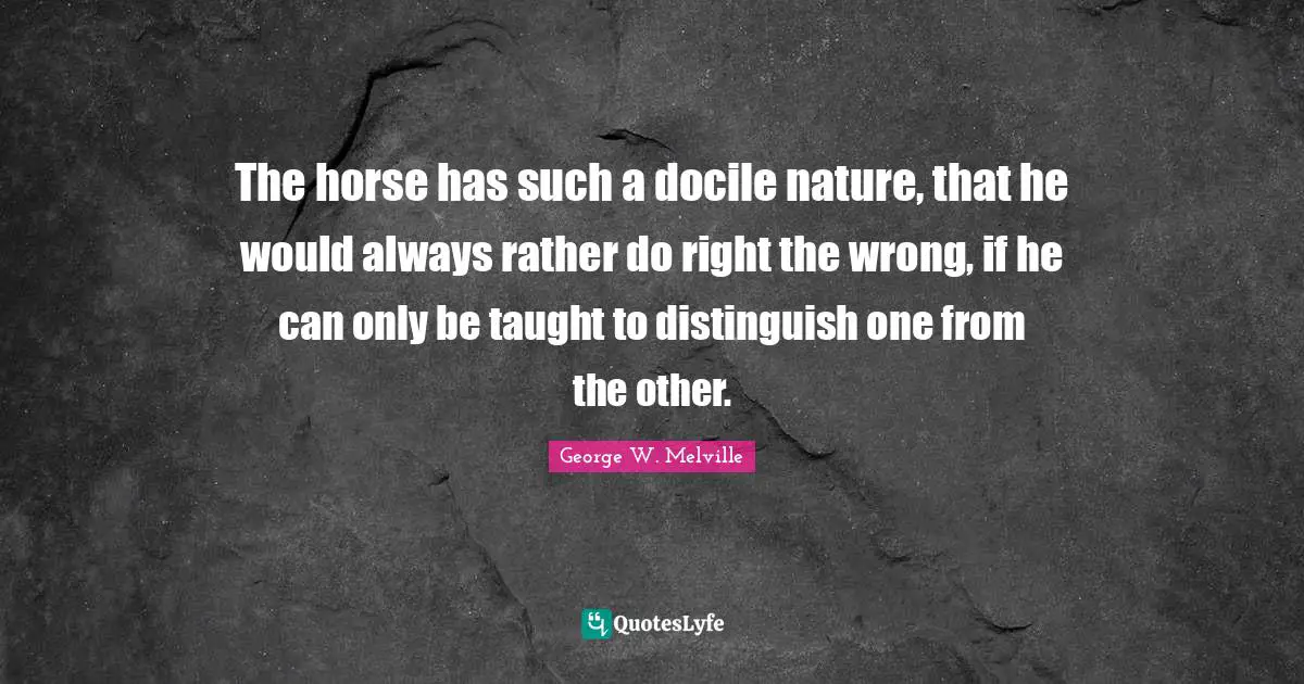 The horse has such a docile nature, that he would always rather do right the wrong, if he can only be taught to distinguish one from the other.