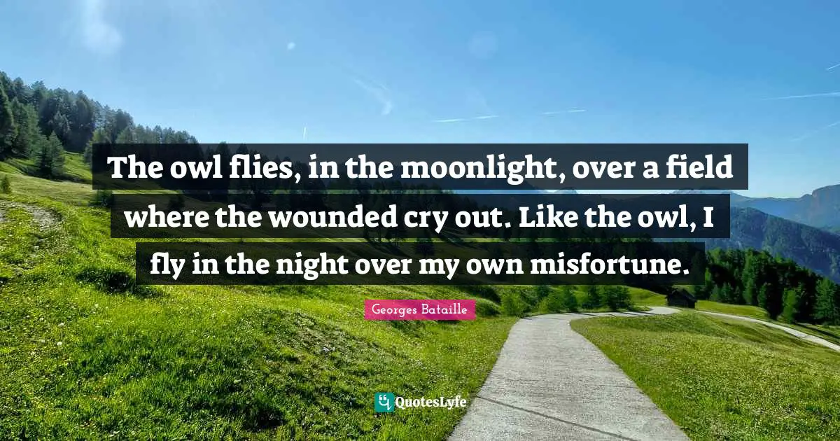 Moonlight Quotes: "The owl flies, in the moonlight, over a field where the wounded cry out. Like the owl, I fly in the night over my own misfortune."