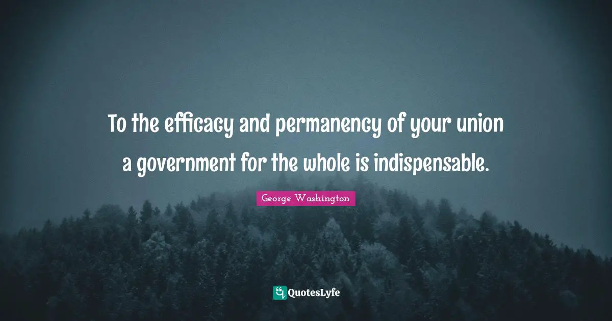 To the efficacy and permanency of your union a government for the whole is indispensable.