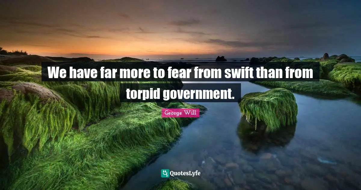 We have far more to fear from swift than from torpid government.