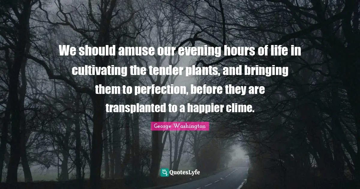 We should amuse our evening hours of life in cultivating the tender plants, and bringing them to perfection, before they are transplanted to a happier clime.