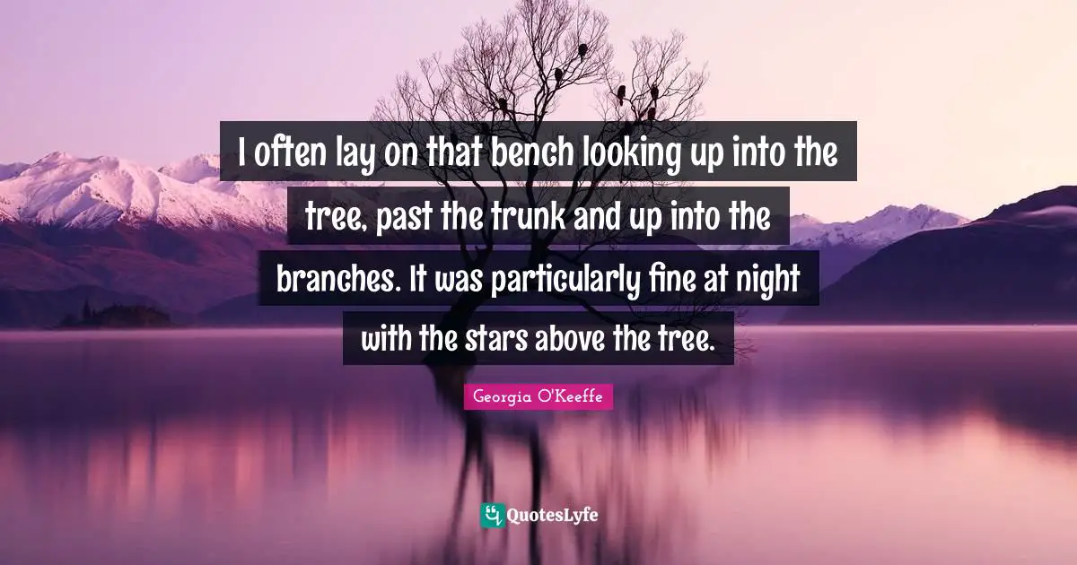 I often lay on that bench looking up into the tree, past the trunk and up into the branches. It was particularly fine at night with the stars above the tree.