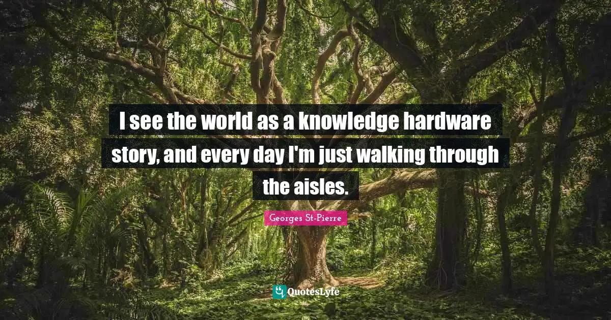 Georges St-Pierre Quotes: "I see the world as a knowledge hardware story, and every day I'm just walking through the aisles."