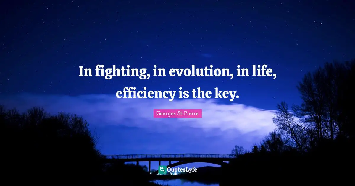 Georges St-Pierre Quotes: "In fighting, in evolution, in life, efficiency is the key."