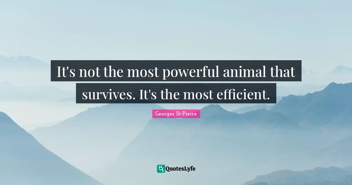 Georges St-Pierre Quotes: "It's not the most powerful animal that survives. It's the most efficient."
