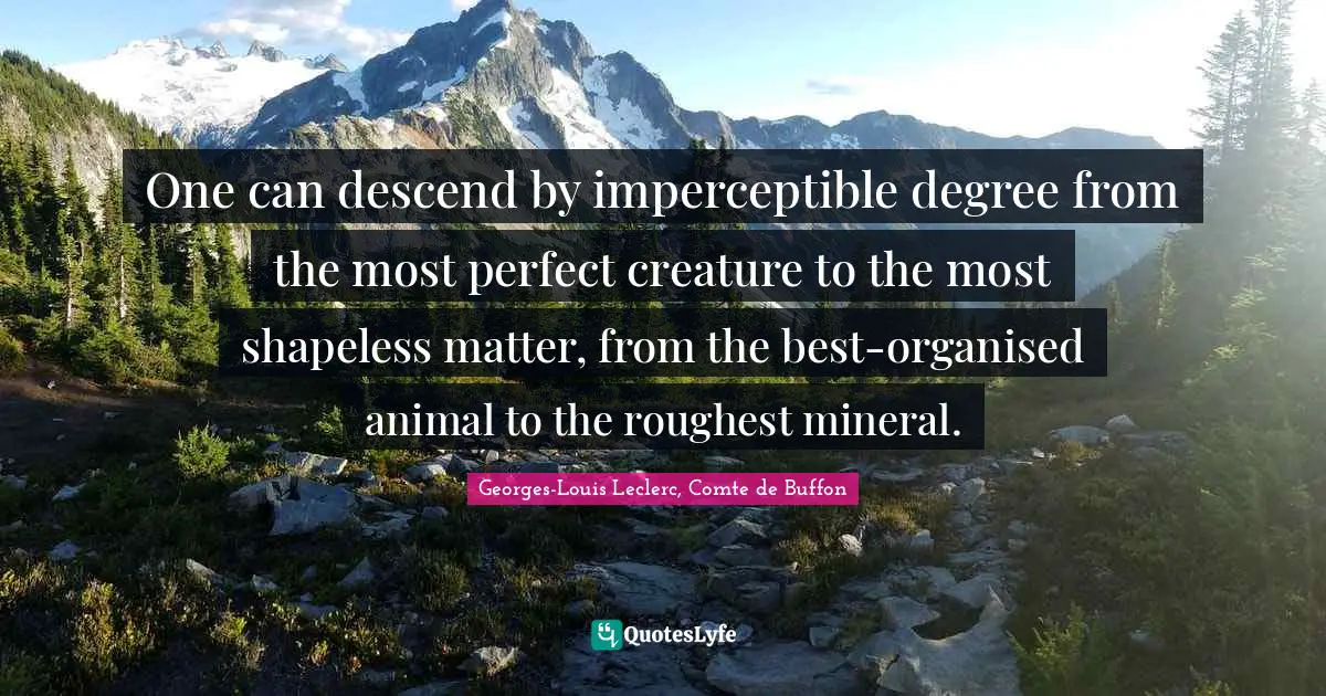 One can descend by imperceptible degree from the most perfect creature to the most shapeless matter, from the best-organised animal to the roughest mineral.