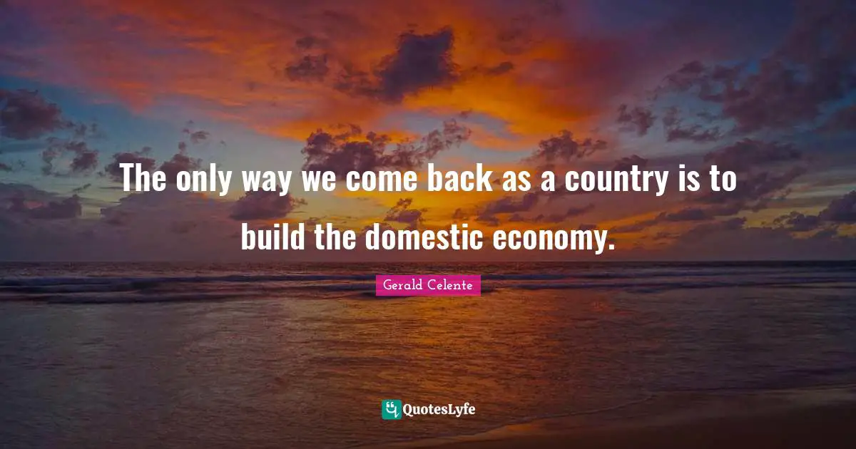 The only way we come back as a country is to build the domestic economy.