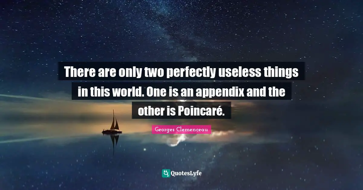 There are only two perfectly useless things in this world. One is an appendix and the other is Poincaré.